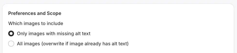 Preferences and Scope section in Syncor Alt's Bulk Alt Text Generation Task creation page.